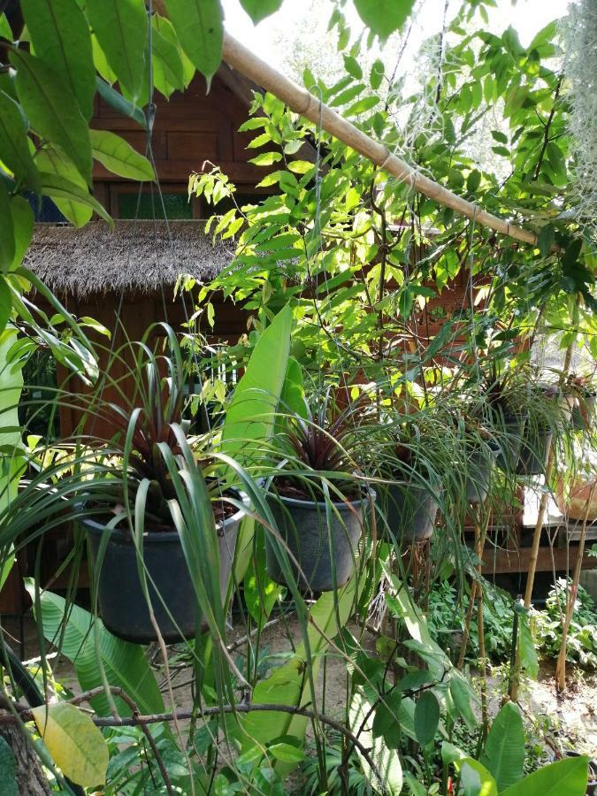 Rustic​ Charm​ Suphan​ Ban Tha Pong Luaran gambar