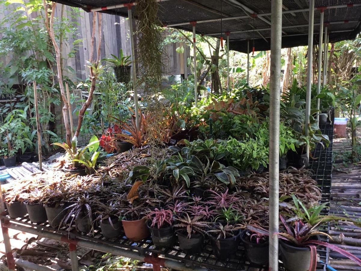 Rustic​ Charm​ Suphan​ Ban Tha Pong Luaran gambar